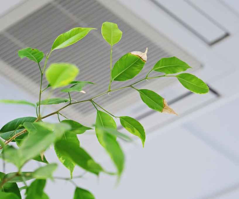 Air Conditioning At Home
